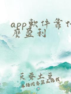 app软件靠什么盈利
