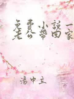 免费小说一国民老公带回家