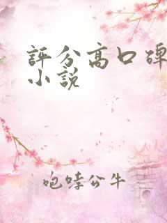 评分高口碑好的小说