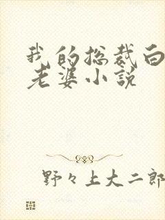 我的总裁白富美老婆小说