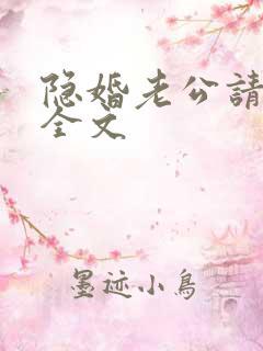 隐婚老公请低调全文