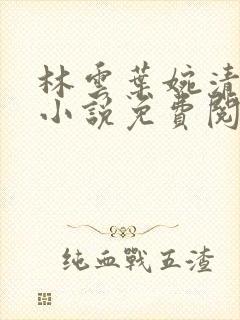 林云叶婉清穿越小说免费阅读全