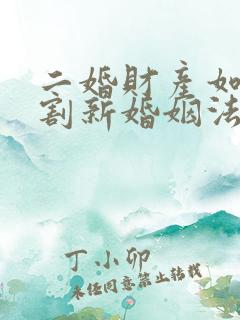 二婚财产如何分割新婚姻法律规定