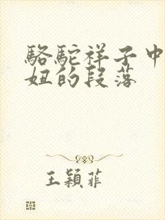 骆驼祥子中写虎妞的段落