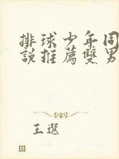 排球少年同人小说推荐双男