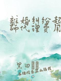 离婚纠纷起诉律师代理费用