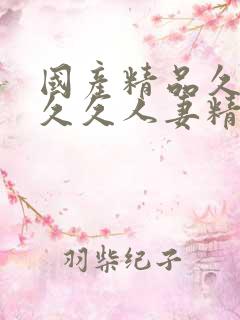 国产精品久久久久久人妻精品