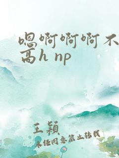 嗯啊啊啊不要啊高h np
