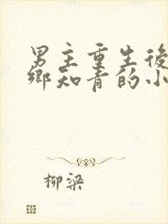 男主重生后成下乡知青的小说