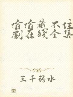 偷偷藏不住电视剧在线全集免费观看