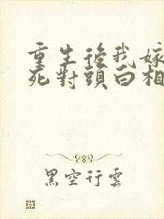 重生后我嫁给了死对头白相星