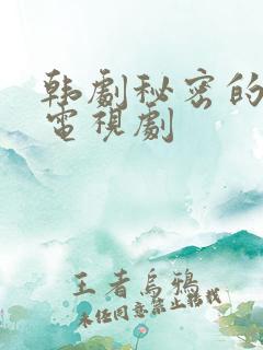 韩剧秘密的男人电视剧