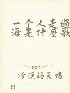 一个人走过这片海是什么歌