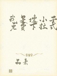 我是坏小子漫画免费下拉式