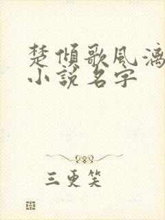 楚倾歌风漓夜的小说名字