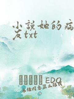 小说她的病娇男友txt