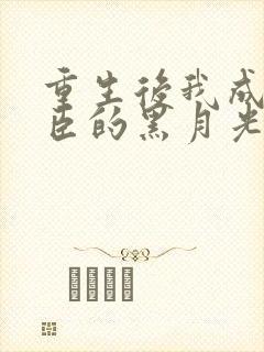 重生后我成了权臣的黑月光txt