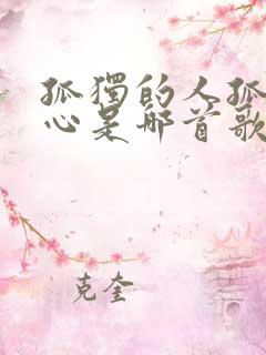 孤独的人孤独的心是哪首歌的歌词