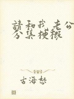 请和我老公结婚分集梗概