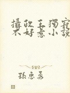 摄政王独宠医妃不好惹小说