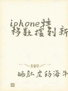 iphone转移数据到新iphone要多久