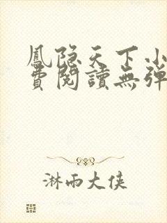 凤隐天下小说免费阅读无弹窗