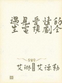 遇见爱情的利先生电视剧全集剧