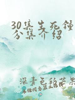 30集生死钟声分集介绍