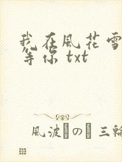 我在风花雪月里等你 txt