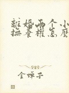 离婚两个小孩的抚养权怎么判