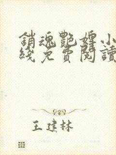 销魂艳婢小说在线免费阅读