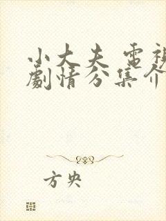 小大夫 电视剧剧情分集介绍