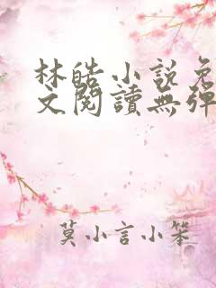 林皓小说免费全文阅读无弹窗