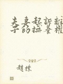 夫妻起诉离婚孩子的抚养权怎么争取