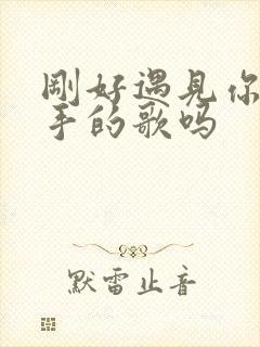 刚好遇见你是分手的歌吗