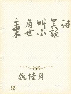 主角叫吴洛枫的末世小说