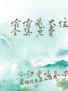 偷偷藏不住漫剧全集免费