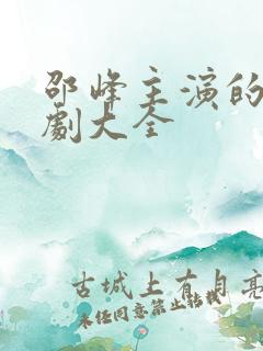 邵峰主演的电视剧大全