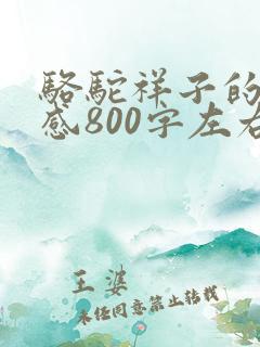 骆驼祥子的读后感800字左右
