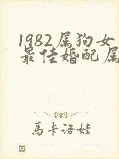 1982属狗女最佳婚配属相