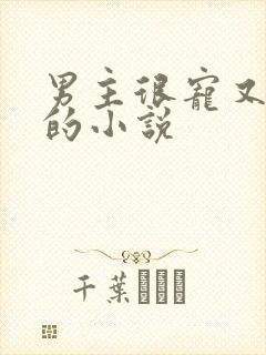 男主很宠又重欲的小说