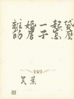 离婚一起贷款买的房子怎么办