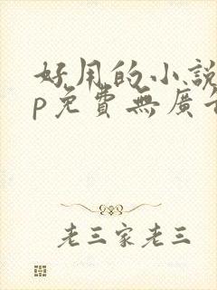 好用的小说app免费无广告