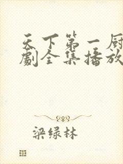 天下第一厨神短剧全集播放