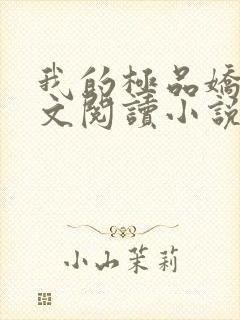 我的极品娇妻全文阅读小说