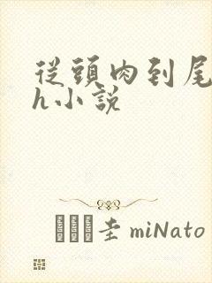 从头肉到尾的高h小说