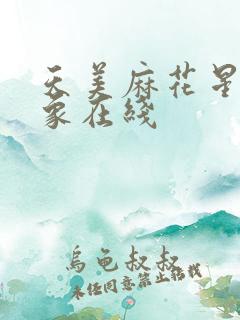 天美麻花星空大象在线