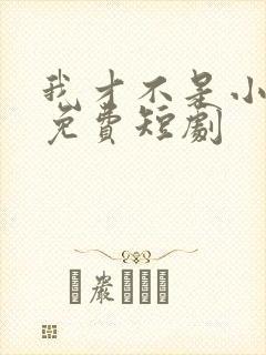 我才不是小可怜免费短剧