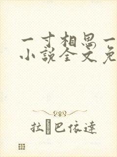 一寸相思一寸灰小说全文免费阅读