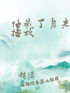 他藏了月光短剧播放